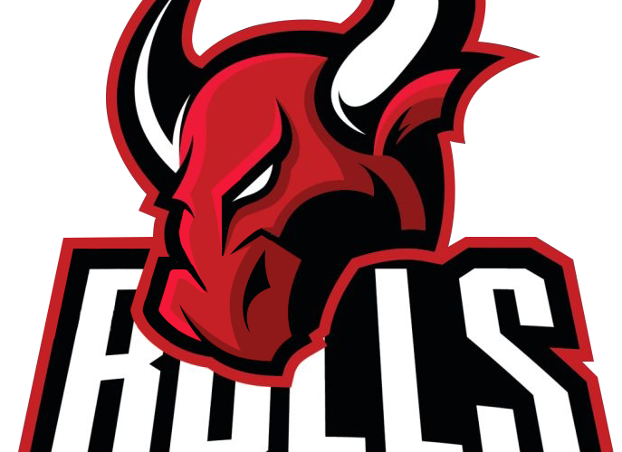 Bulls Logo