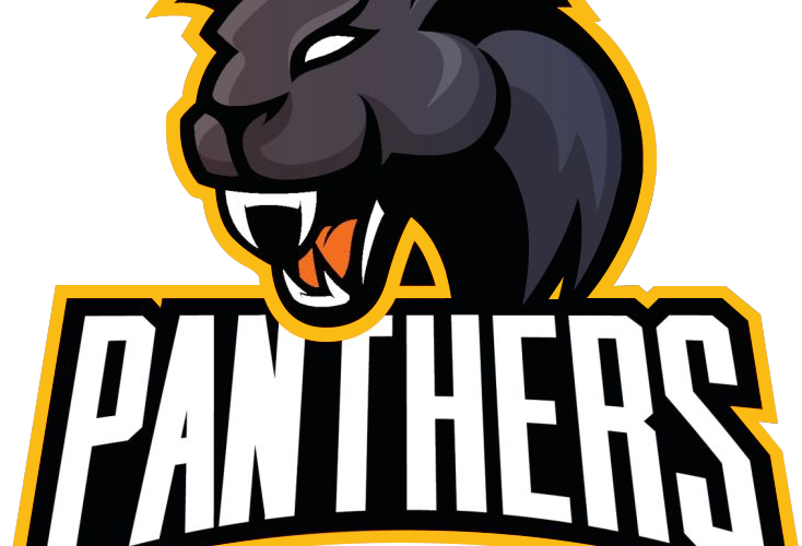 Panthers Logo